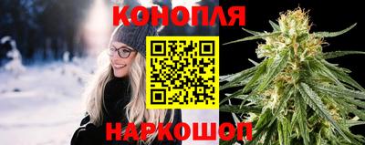 крисы Пугачёв