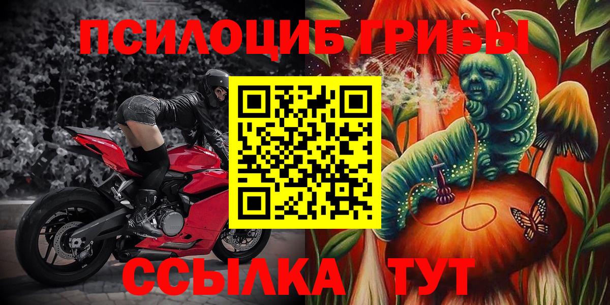 Галлюциногенные грибы GOLDEN TEACHER  Вход с VPN  Псилоцибиновые грибы прущие грибы  Россия 