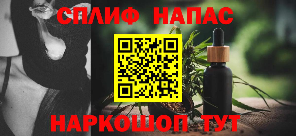 Канабис сатива Россия